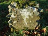 image of grave number 723809